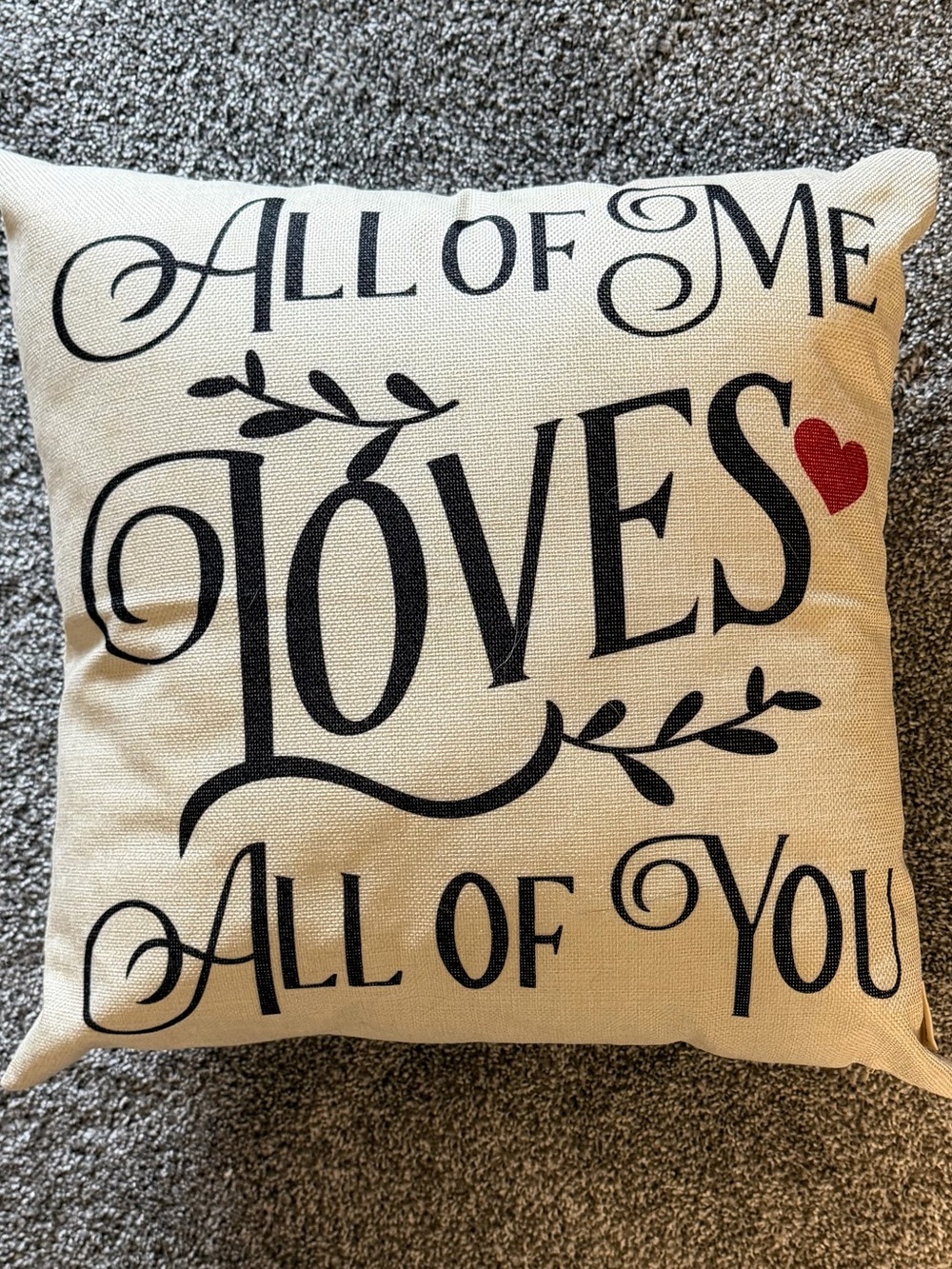 All of Me Loves All of You Decorative Throw Pillow - Black and Red Text on Beige